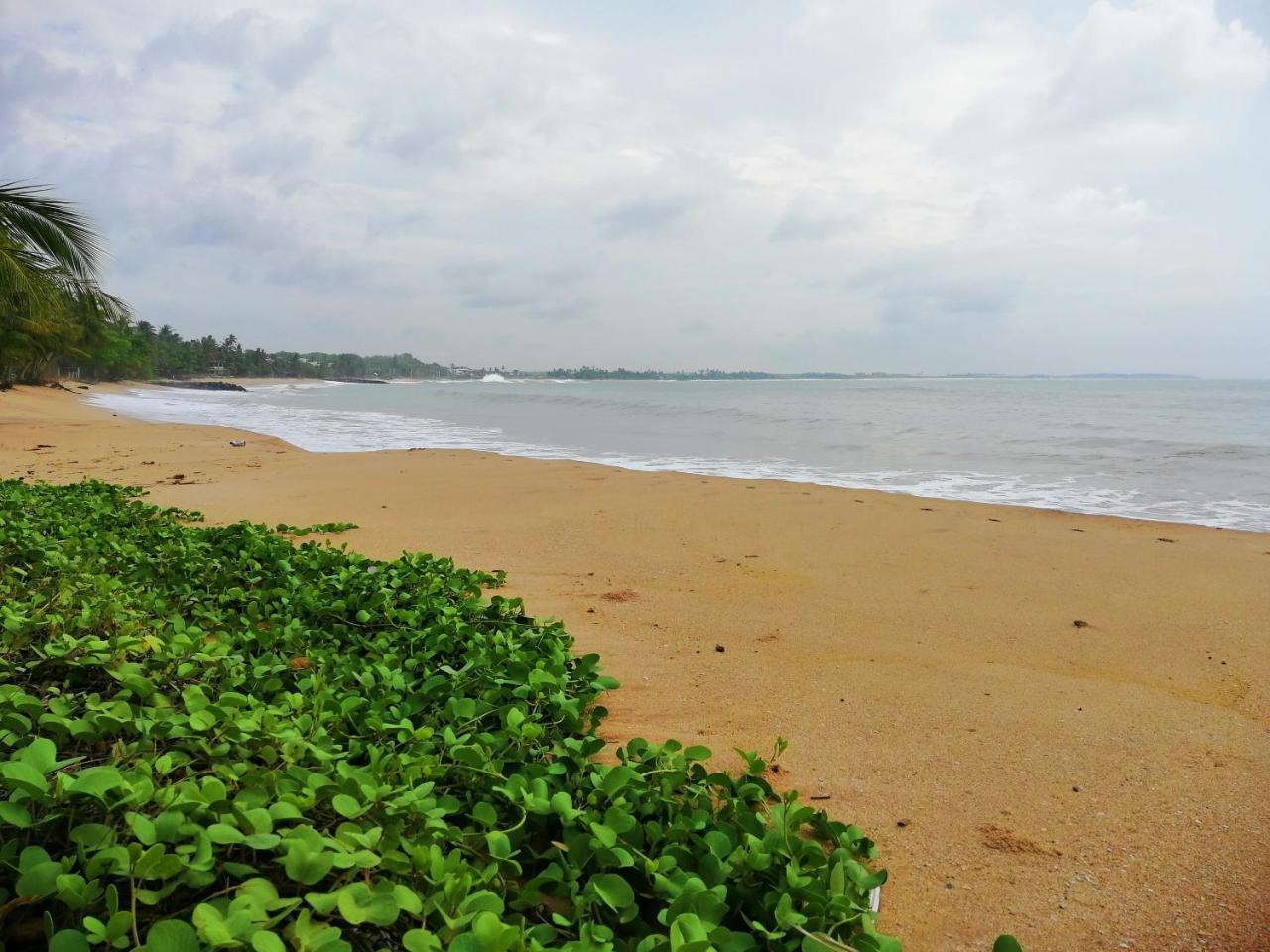 Mars Hotel Tangalle Exterior foto