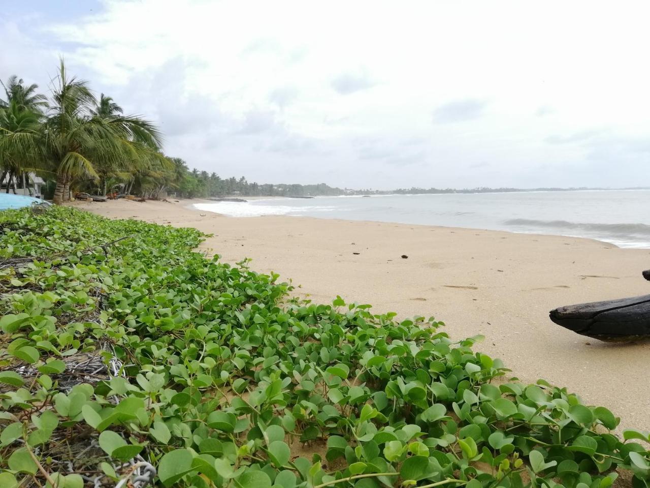 Mars Hotel Tangalle Exterior foto